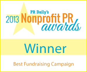 Best Fundraising Campaign - https://s41078.pcdn.co/wp-content/uploads/2018/11/Best-Fundraising-Campaign.jpg