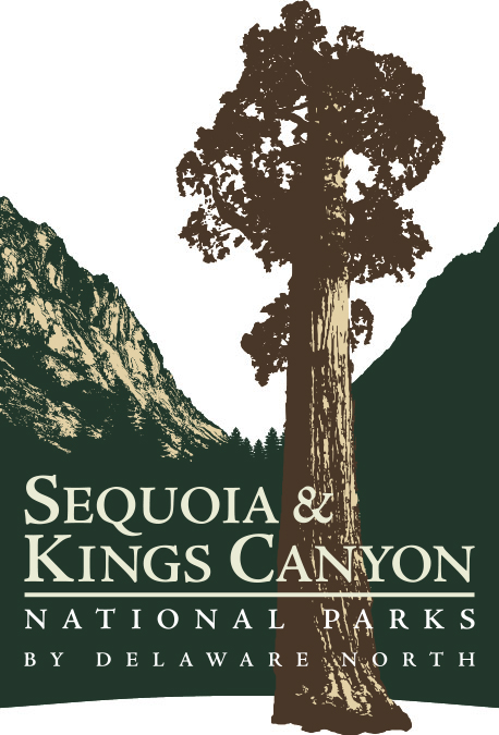 Sequoia & Kings Canyon Digital Influencer Media Trip - Logo - https://s41078.pcdn.co/wp-content/uploads/2018/11/Use-of-Visuals-2.jpg