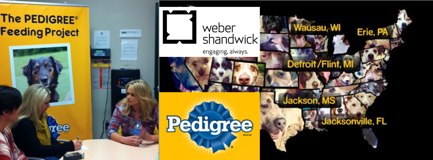 The PEDIGREE® Feeding Project  - Logo - https://s41078.pcdn.co/wp-content/uploads/2018/11/pedigree-feeding-project3.png