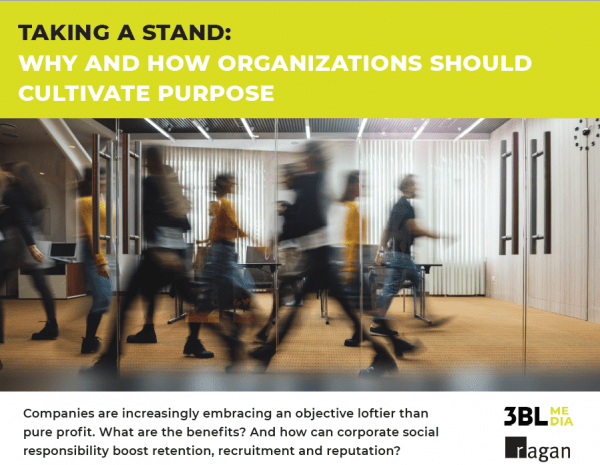 Taking a stand: Why and how organizations should cultivate purpose