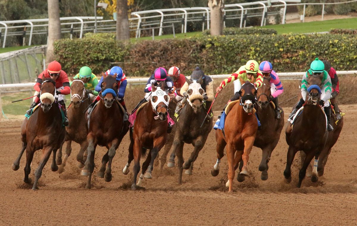 The Preakness' virtual press event