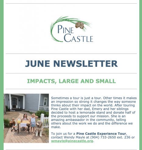 Pine Castle Newsletter