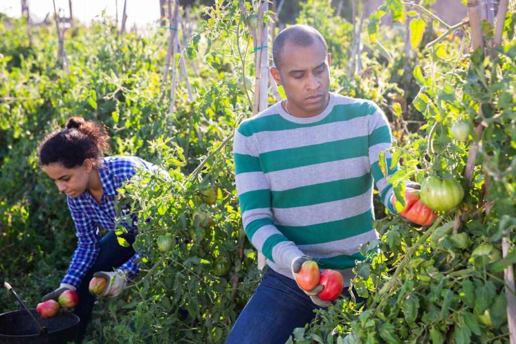 Communicating and connecting through food